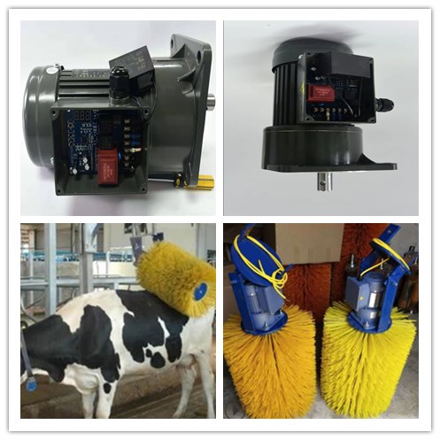 牛體刷電機(jī)