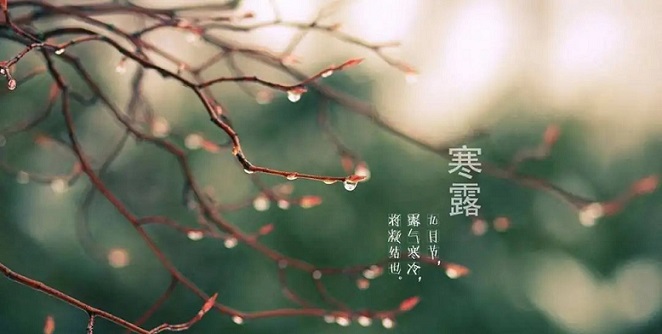 邁傳減速機(jī)提醒您：今日寒露