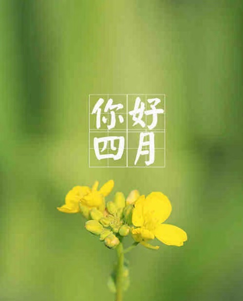 四月，你好！.jpg